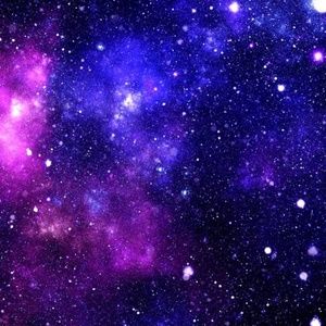 Meet your Posher, Chloey